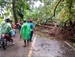 Akses Bagbagan–Kiara Dua Tertutup Longsor, Petugas Gabungan Mulai Evakuasi Material
