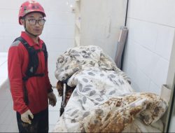 Tebing 10 Meter Longsor, Seorang Wanita Ditemukan Tewas di Kamar Mandi Rumahnya