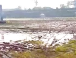 Rumput Rusak dan Sampah Menumpuk, Potret Miris Stadion Suryakencana Usai Gelaran Konser