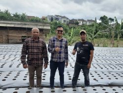 Gaya Baru Ngopi di Cikembar: BUMDes Sukamaju Padukan Kopi dan Edamame untuk Ketahanan Pangan