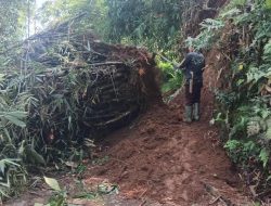 Hujan Deras Picu Longsor di Sukalarang, Satu Keluarga Terpaksa Mengungsi