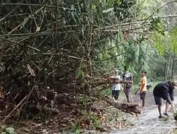 Cuaca Ekstrem Terjang Sukabumi, Belasan Rumah Rusak, Akses Jalan Lumpuh di Sejumlah Ti