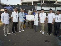 Tebar kebaikan Idul Adha, Jamkrindo Salurkan Puluhan Hewan Qurban ke berbagai daerah