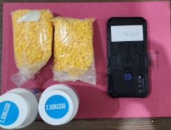 Nyambi Jadi Bandar Obat Keras, Oknum Honorer di Sukabumi Diciduk Polisi!