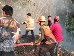 BPBD Sukabumi Gerak Cepat Cegah Kebakaran Lahan Menjalar ke Permukiman