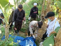 Mayat Perempuan Tanpa Identitas Ditemukan di Bawah Pohon Pisang di Cisolok Sukabumi
